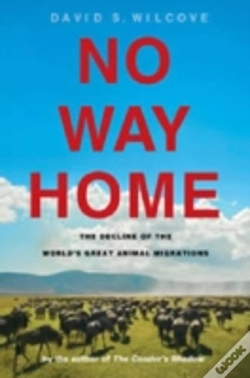 Capa do artigo No Way Home