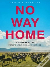 No Way Home