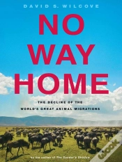 Capa do artigo No Way Home