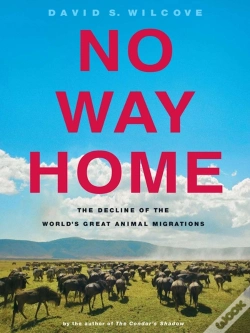 Capa do artigo No Way Home