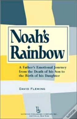 Capa do artigo Noah'S Rainbow