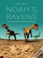 Noah'S Ravens