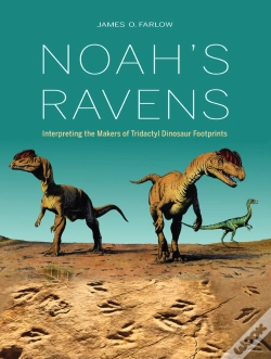 Capa do artigo Noah'S Ravens
