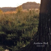 Capa do artigo Noble Beast - CD