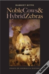 Noble Cows And Hybrid Zebras