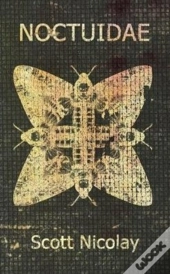 Noctuidae
