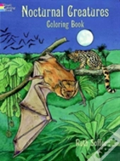 Nocturnal Creatures Col Bk