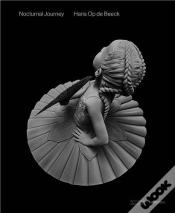 Capa do artigo Nocturnal Journey