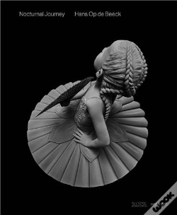 Capa do artigo Nocturnal Journey