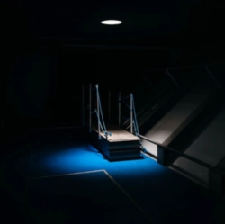Capa do artigo Nocturnal Manoeuvres - Vinil