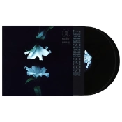 Capa do artigo Nocturne - Vinil