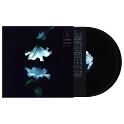 Capa do artigo Nocturne - Vinil