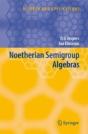 Noetherian Semigroup Algebras - Preview