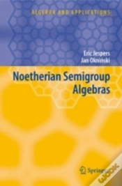 Capa do artigo Noetherian Semigroup Algebras