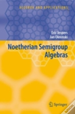 Capa do artigo Noetherian Semigroup Algebras