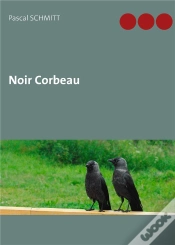 Capa do artigo Noir Corbeau