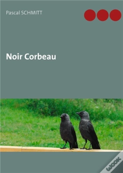 Capa do artigo Noir Corbeau