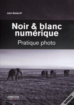 Capa do artigo Noir Et Blanc Numérique ; Pratique Photo