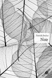 Capa do artigo Noir
