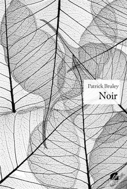 Capa do artigo Noir