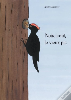Capa do artigo Noircicaut ; Le Vieux Pic