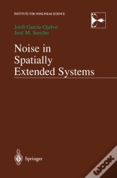Noise In Spatially Extended Systems