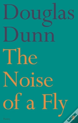 Capa do artigo Noise Of A Fly
