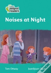 Noises At Night
