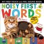 Noisy First Words - Preview