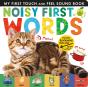 Noisy First Words - Preview