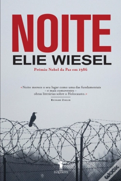 Capa do artigo Noite