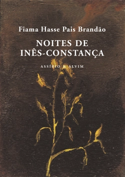 Capa do artigo Noites de Inês-Constança