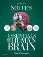 Nolte'S Essentials Of The Human Brain E-Book - Preview