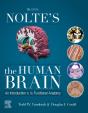 Nolte'S The Human Brain E-Book - Preview