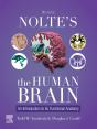 Nolte'S The Human Brain - E-Book - Preview