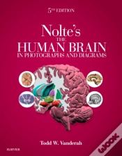 Capa do artigo Nolte