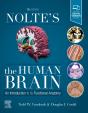 Nolte'S The Human Brain - Preview