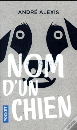 Capa do artigo Nom D'Un Chien