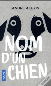 Capa do artigo Nom D