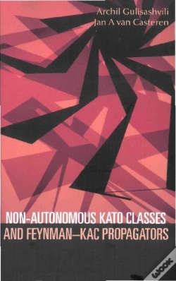 Capa do artigo Non-Autonomous Kato Classes And Feynman-Kac Propagators