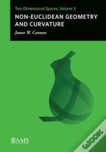 Non-Euclidean Geometry And Curvature