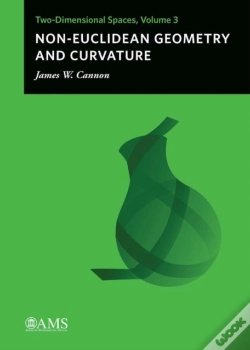 Capa do artigo Non-Euclidean Geometry And Curvature