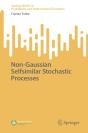 Non-Gaussian Selfsimilar Stochastic Processes - Preview