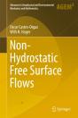 Non-Hydrostatic Free Surface Flows - Preview