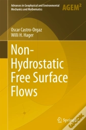 Non-Hydrostatic Free Surface Flows