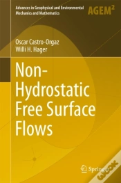 Capa do artigo Non-Hydrostatic Free Surface Flows