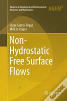 Non-Hydrostatic Free Surface Flows