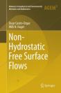Non-Hydrostatic Free Surface Flows - Preview