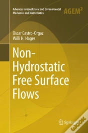 Capa do artigo Non-Hydrostatic Free Surface Flows