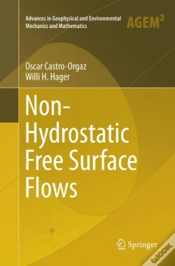 Capa do artigo Non-Hydrostatic Free Surface Flows